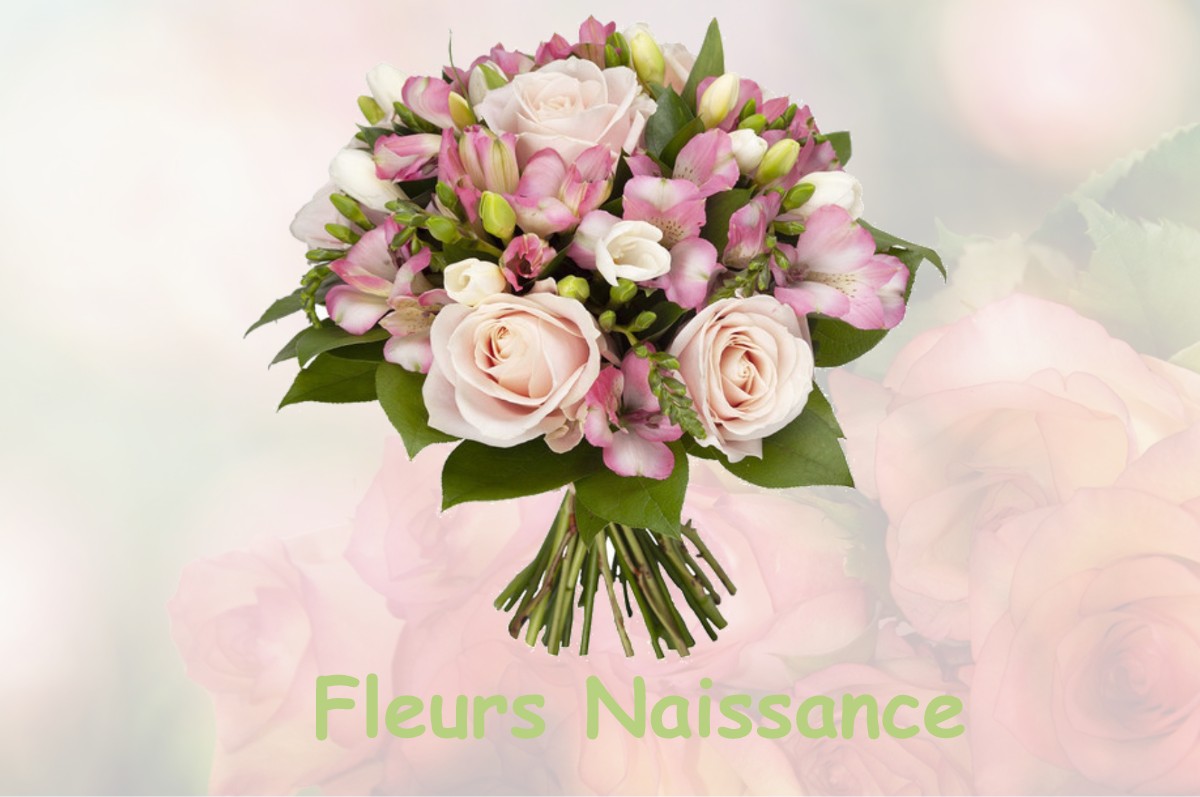 fleurs naissance SAINT-HILAIRE-TAURIEUX